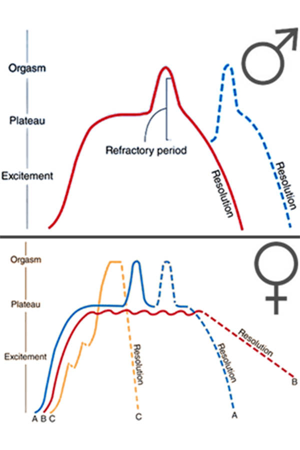 The Battle of Male Orgasms vs Female Orgasms: Is There a Difference?